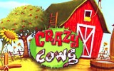 Crazy Cows